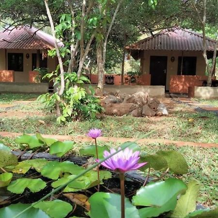 Hotel Niyagala Lodge シギリヤ エクステリア 写真