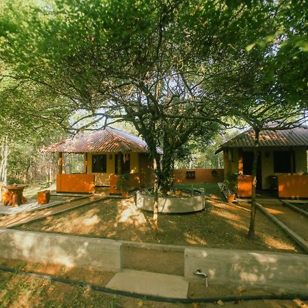 Hotel Niyagala Lodge シギリヤ エクステリア 写真