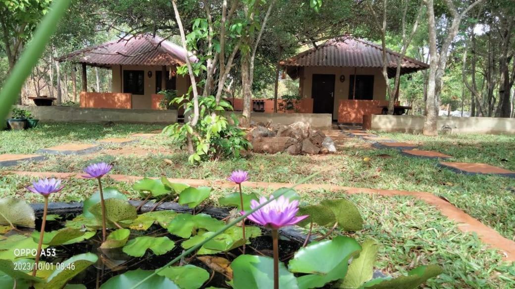 Hotel Niyagala Lodge シギリヤ エクステリア 写真
