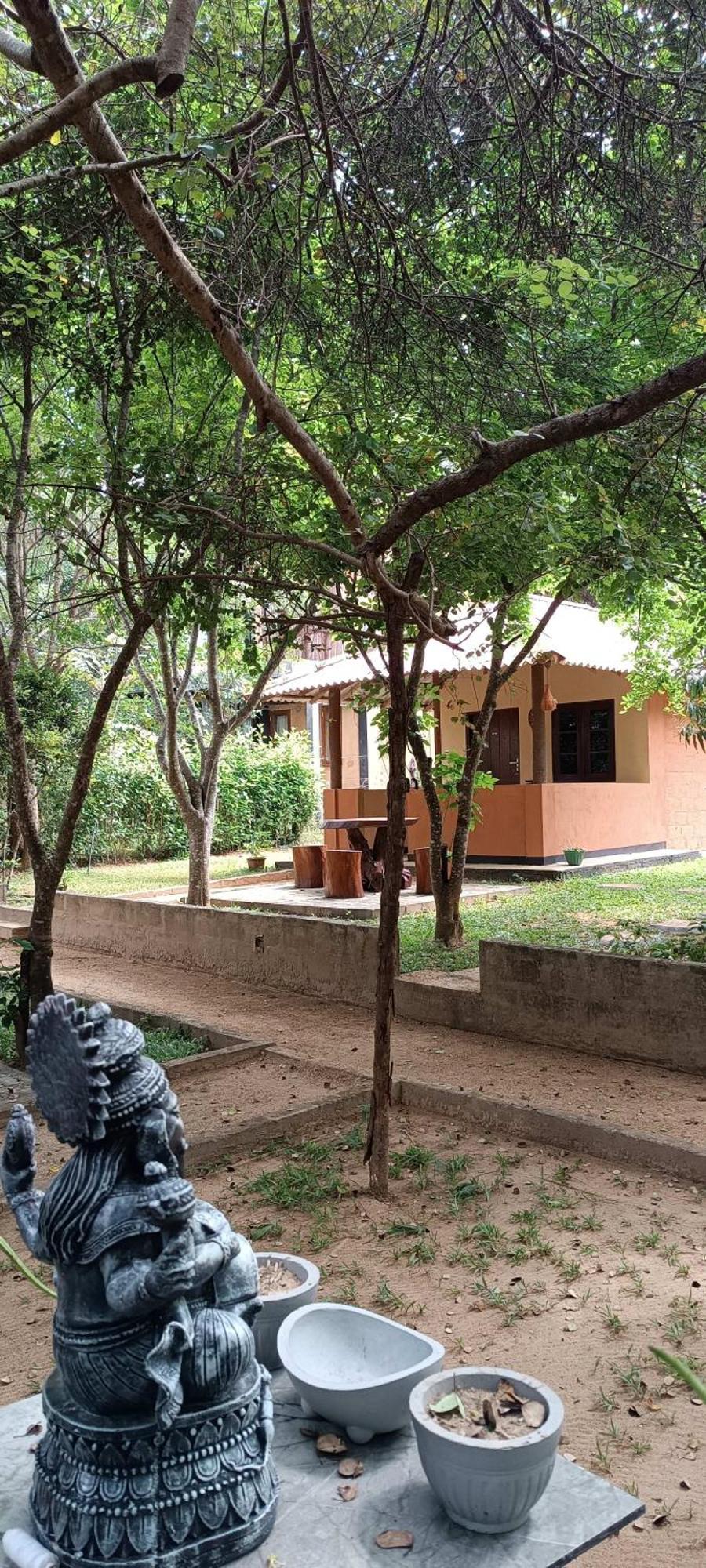 Hotel Niyagala Lodge シギリヤ エクステリア 写真