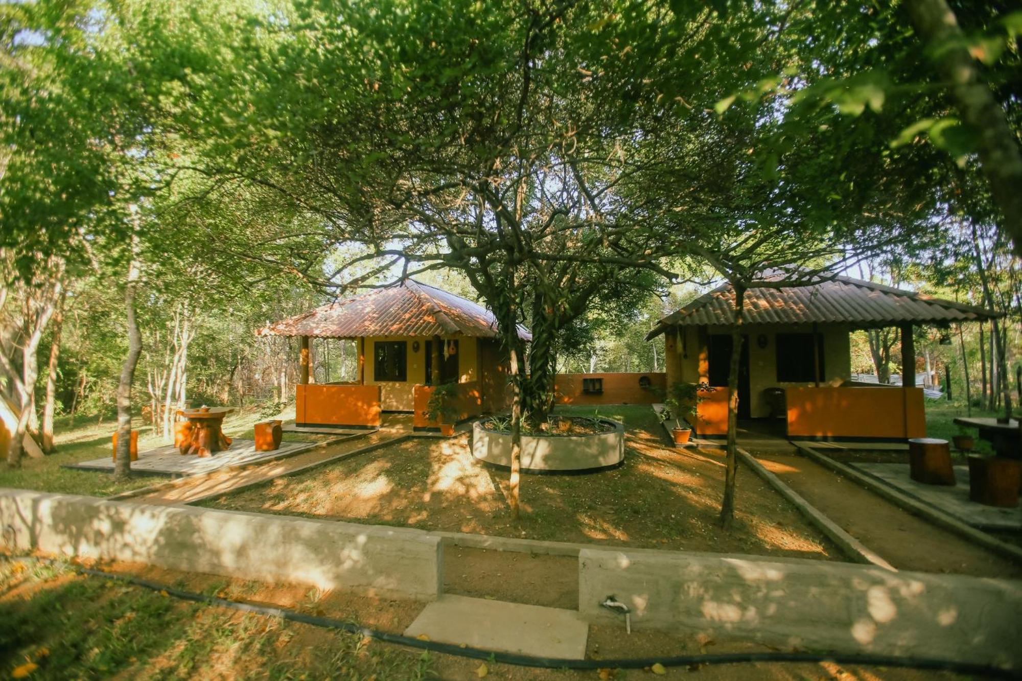 Hotel Niyagala Lodge シギリヤ エクステリア 写真