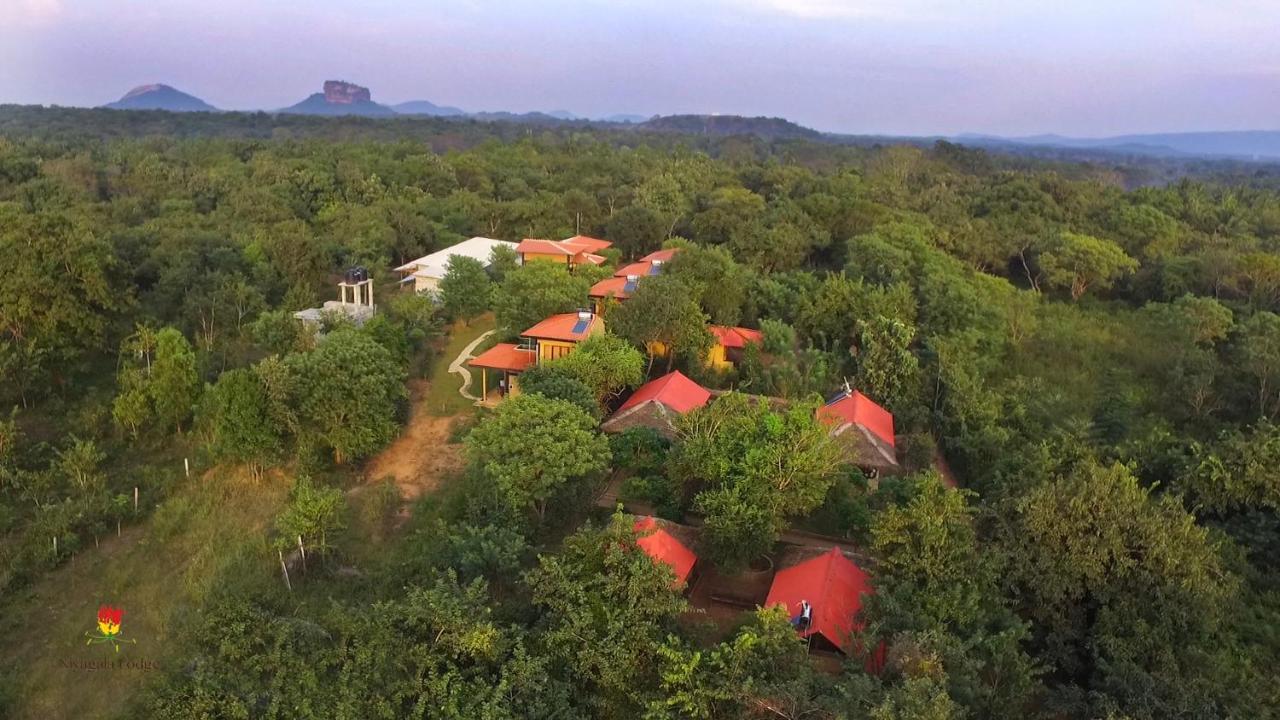 Hotel Niyagala Lodge シギリヤ エクステリア 写真