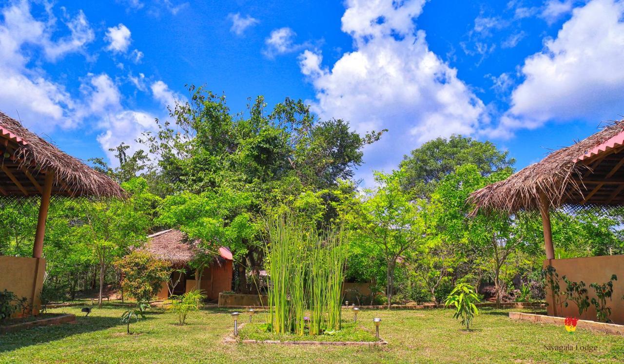 Hotel Niyagala Lodge シギリヤ エクステリア 写真