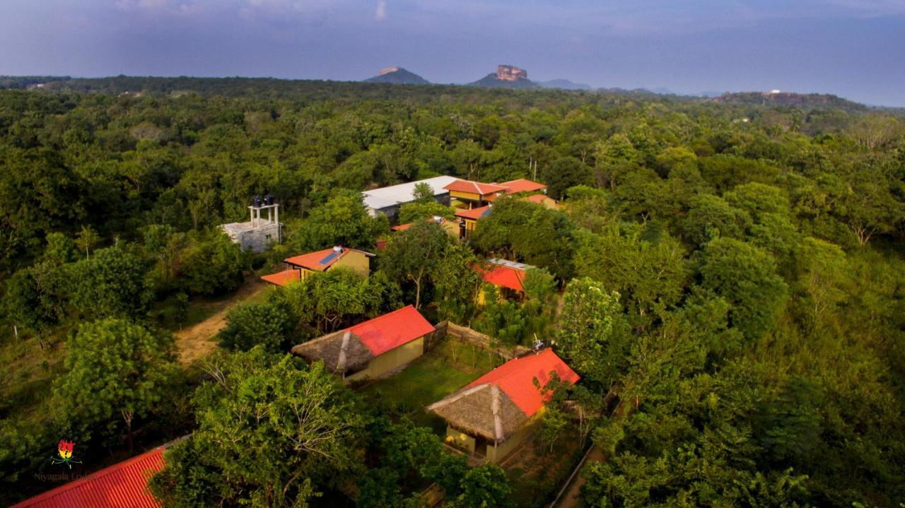 Hotel Niyagala Lodge シギリヤ エクステリア 写真