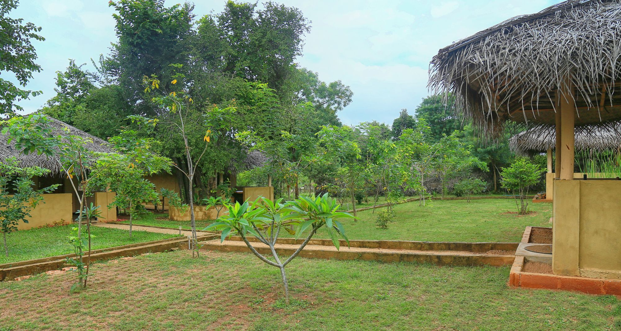Hotel Niyagala Lodge シギリヤ エクステリア 写真