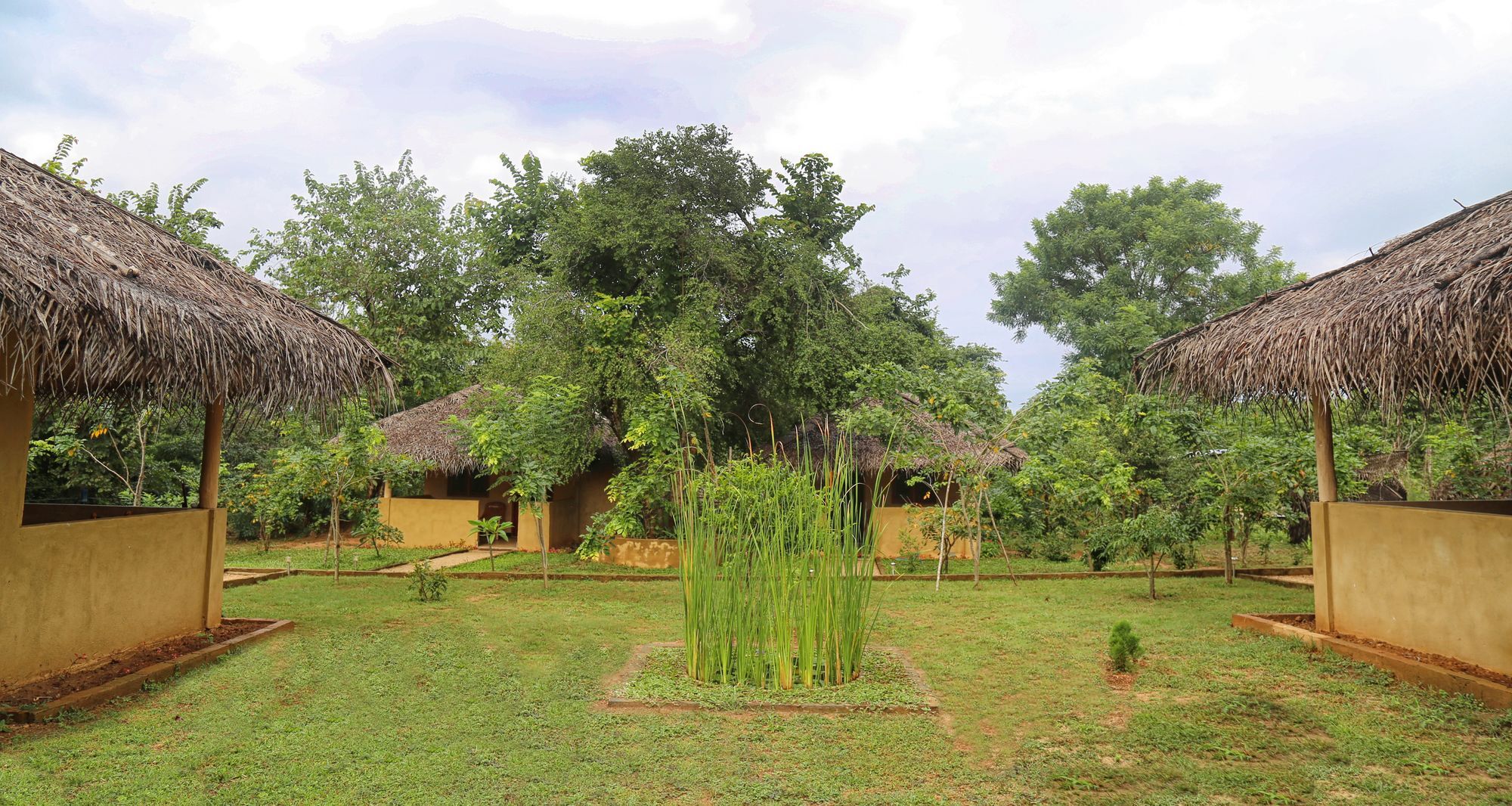 Hotel Niyagala Lodge シギリヤ エクステリア 写真